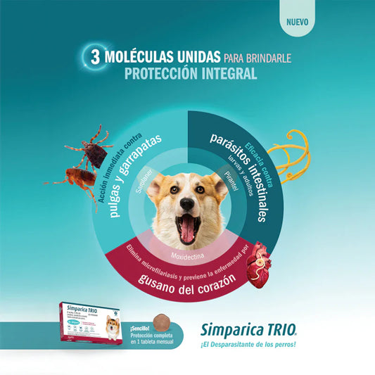 Simparica TRIO para Perro | Tabletas Masticables Antipulgas, Garrapatas y Desparasitante