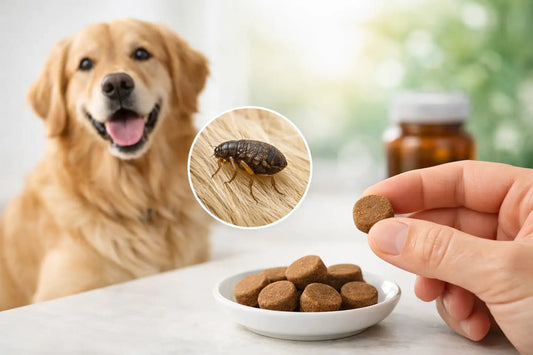 Tabletas masticables antipulgas para perros - DPYP-VET