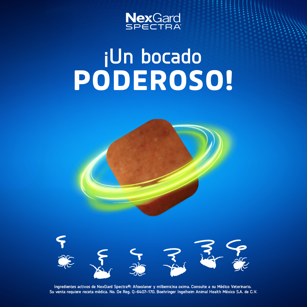 Nexgard Spectra | Antipulgas y Garrapatas | Antiparasitario