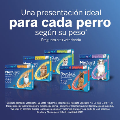 Nexgard Spectra | Antipulgas y Garrapatas | Antiparasitario