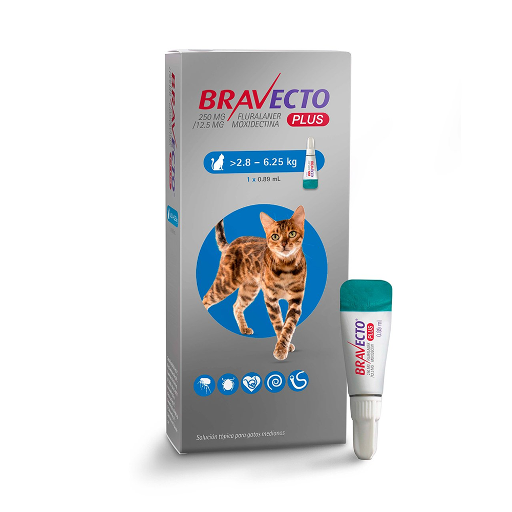 Bravecto Plus para Gatos | Control Total de Pulgas, Garrapatas y Parásitos Internos