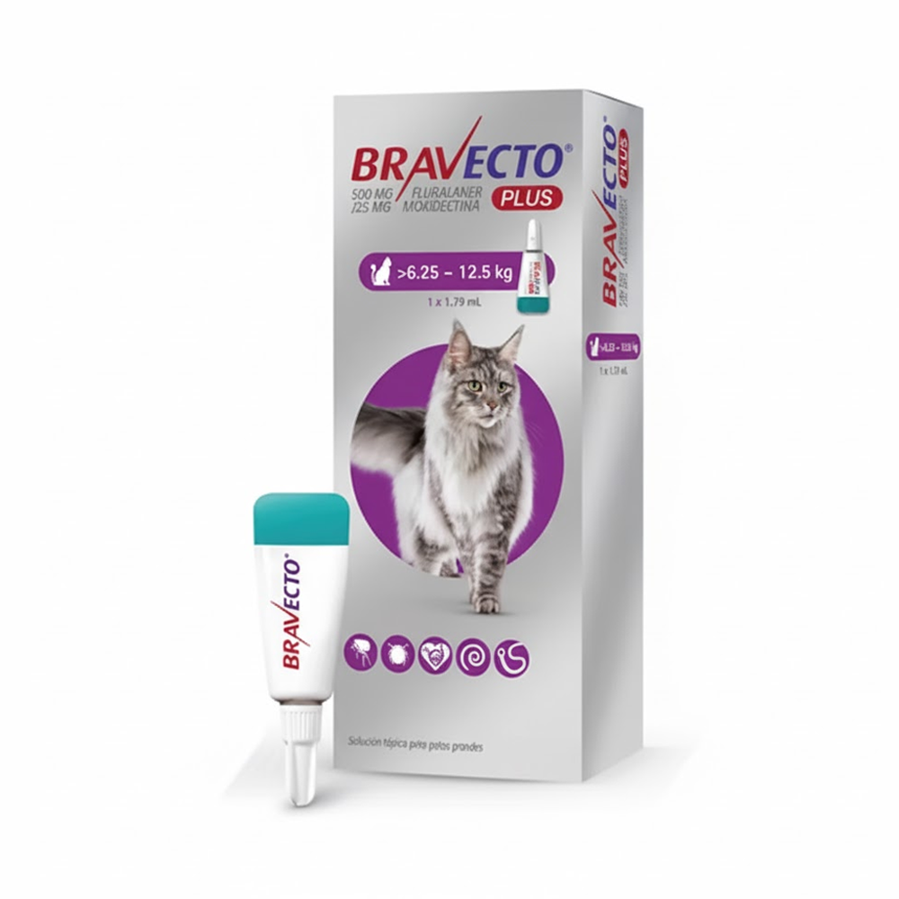 Bravecto Plus para Gatos | Control Total de Pulgas, Garrapatas y Parásitos Internos
