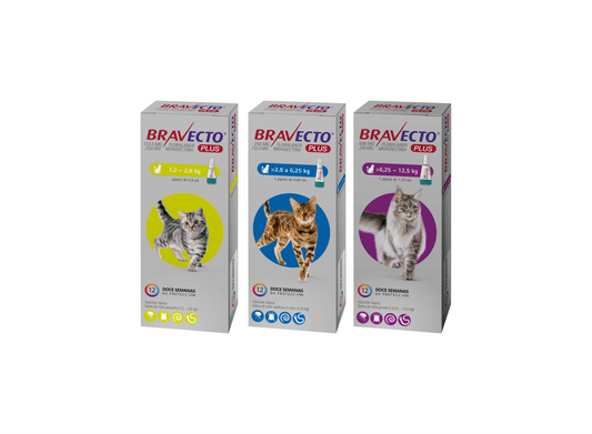 Bravecto Plus for Cat