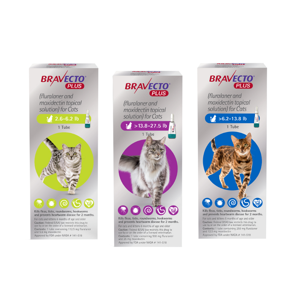 Bravecto Plus para Gatos | Control Total de Pulgas, Garrapatas y Parásitos Internos | Pipeta