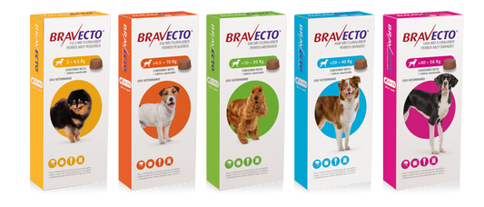 Bravecto 3 meses