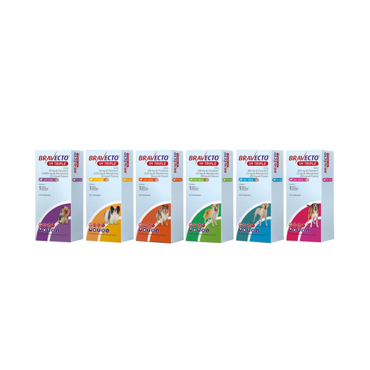 Bravecto 1 Mes Triple Acción - | Antipulgas y Garrapatas | Antiparasitario - DPYP - VET