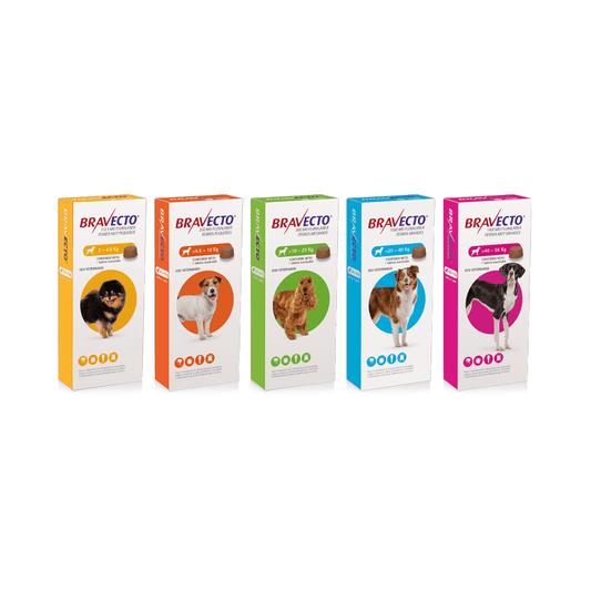 Bravecto - 3 meses protección - Antipulgas y garrapatas - DPYP - VET