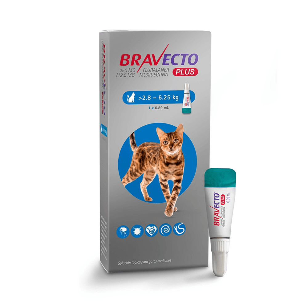 Bravecto Plus para Gatos | Control Total de Pulgas, Garrapatas y Parásitos Internos | Pipeta - DPYP - VET