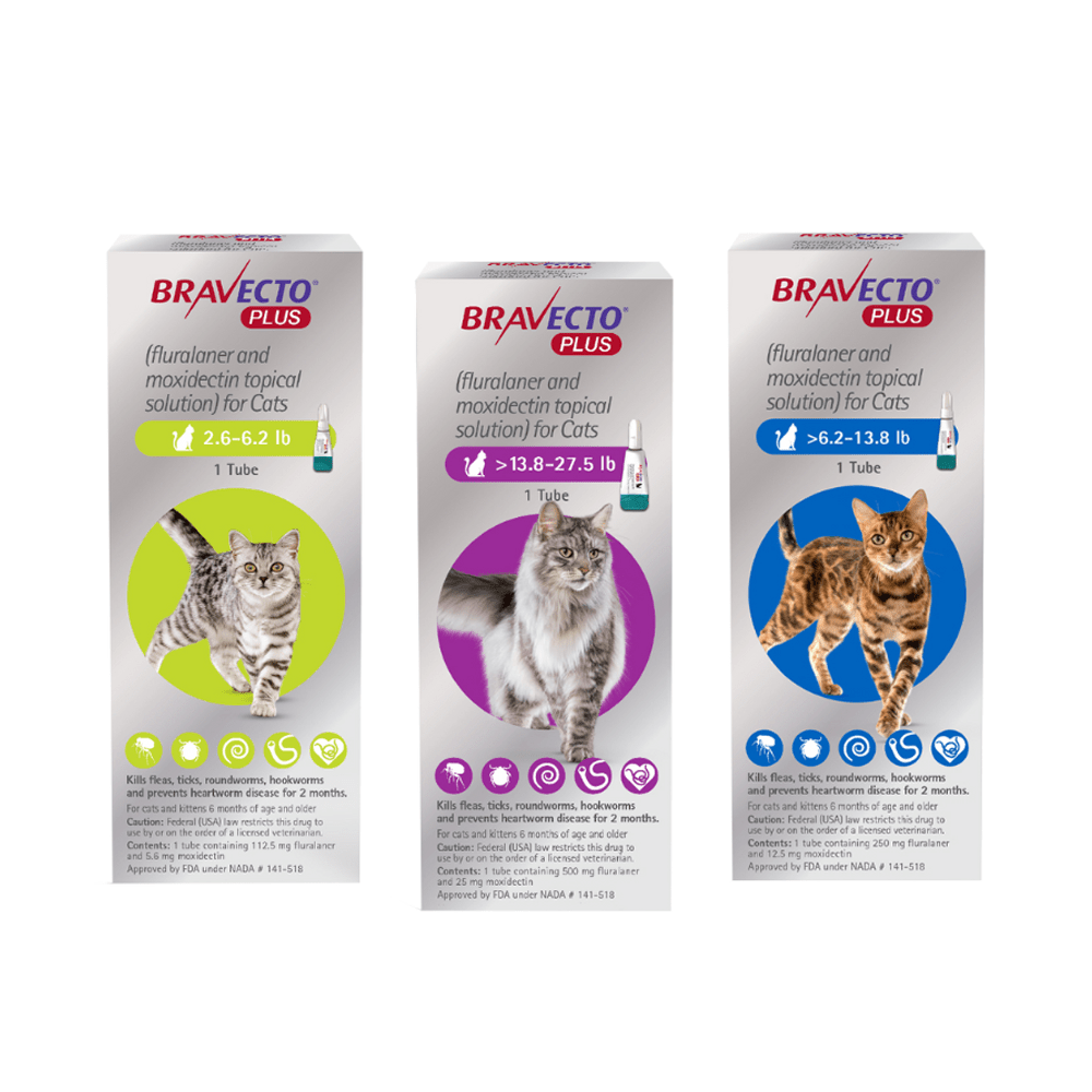 Bravecto Plus para Gatos | Control Total de Pulgas, Garrapatas y Parásitos Internos | Pipeta - DPYP - VET