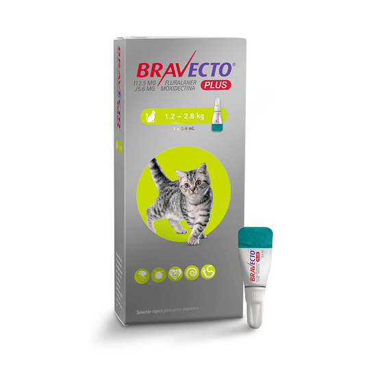 Bravecto Plus para Gatos | Control Total de Pulgas, Garrapatas y Parásitos Internos | Pipeta - DPYP - VET