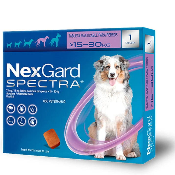 Nexgard Spectra | Antipulgas y Garrapatas | Antiparasitario