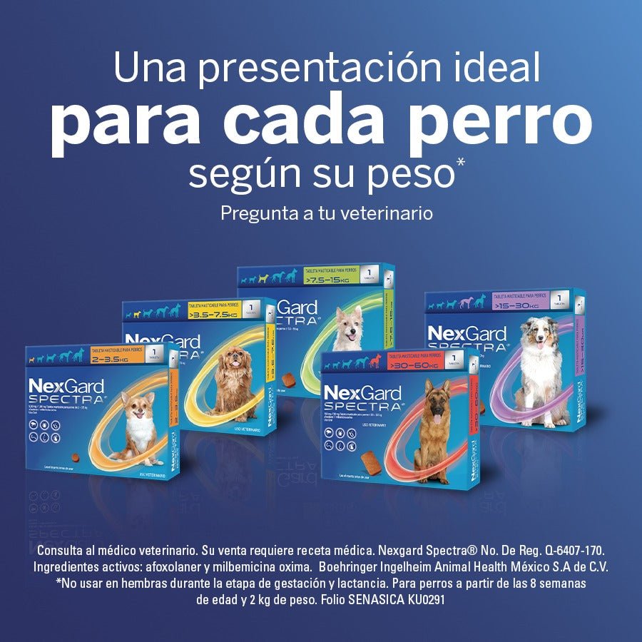 Nexgard Spectra | Antipulgas y Garrapatas | Antiparasitario - DPYP - VET