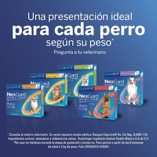 Nexgard Spectra | Antipulgas y Garrapatas | Antiparasitario - DPYP - VET