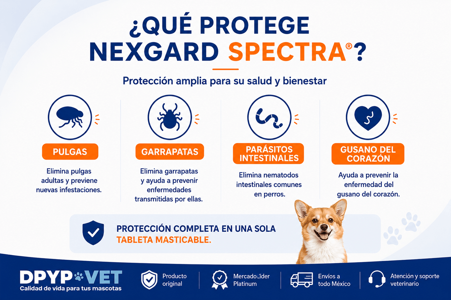 Nexgard Spectra | Antipulgas y Garrapatas | Antiparasitario - DPYP-VET
