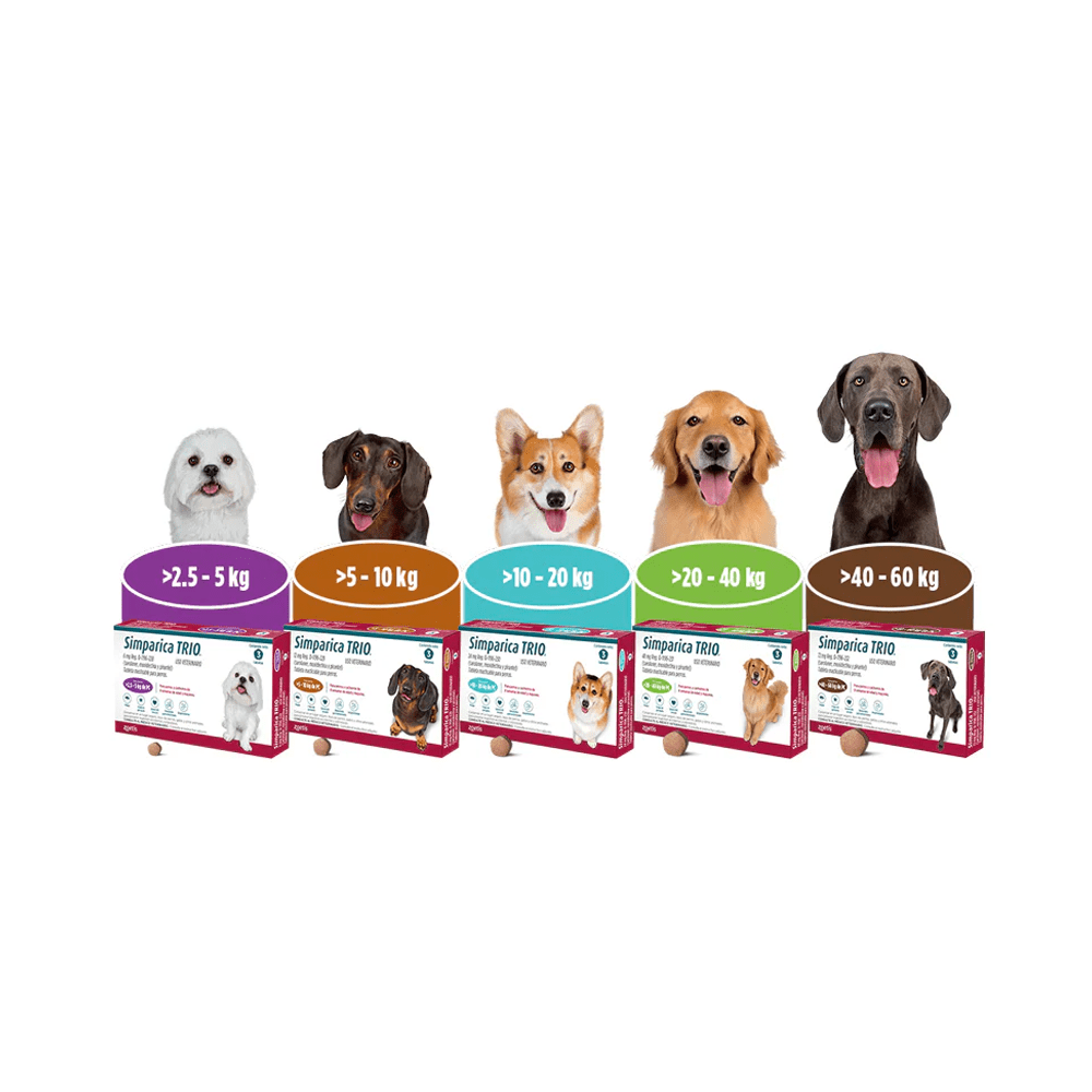 Simparica TRIO para Perro | Tabletas Masticables Antipulgas, Garrapatas y Desparasitante - DPYP - VET