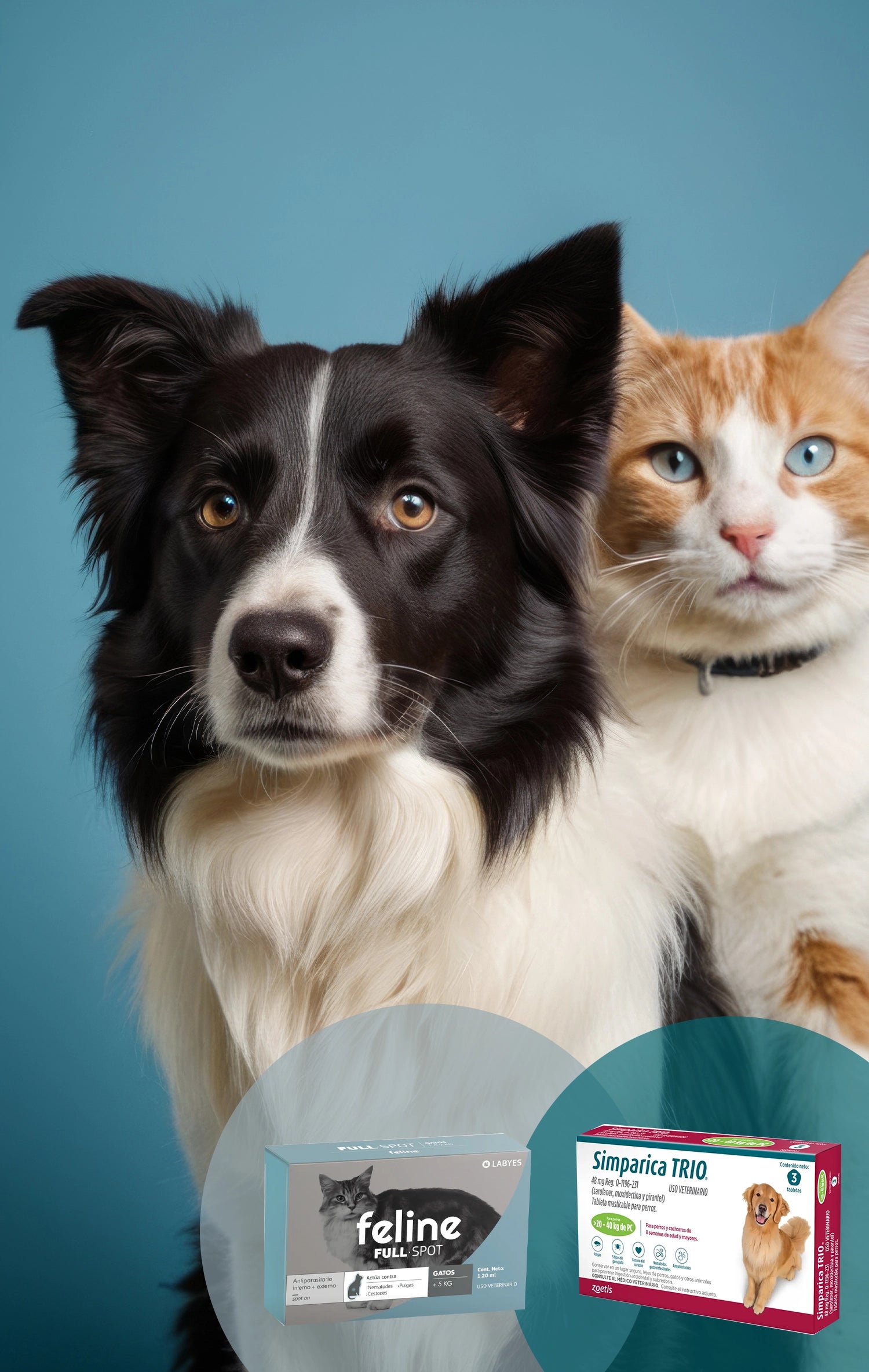 Antipulgas y antigarrapatas